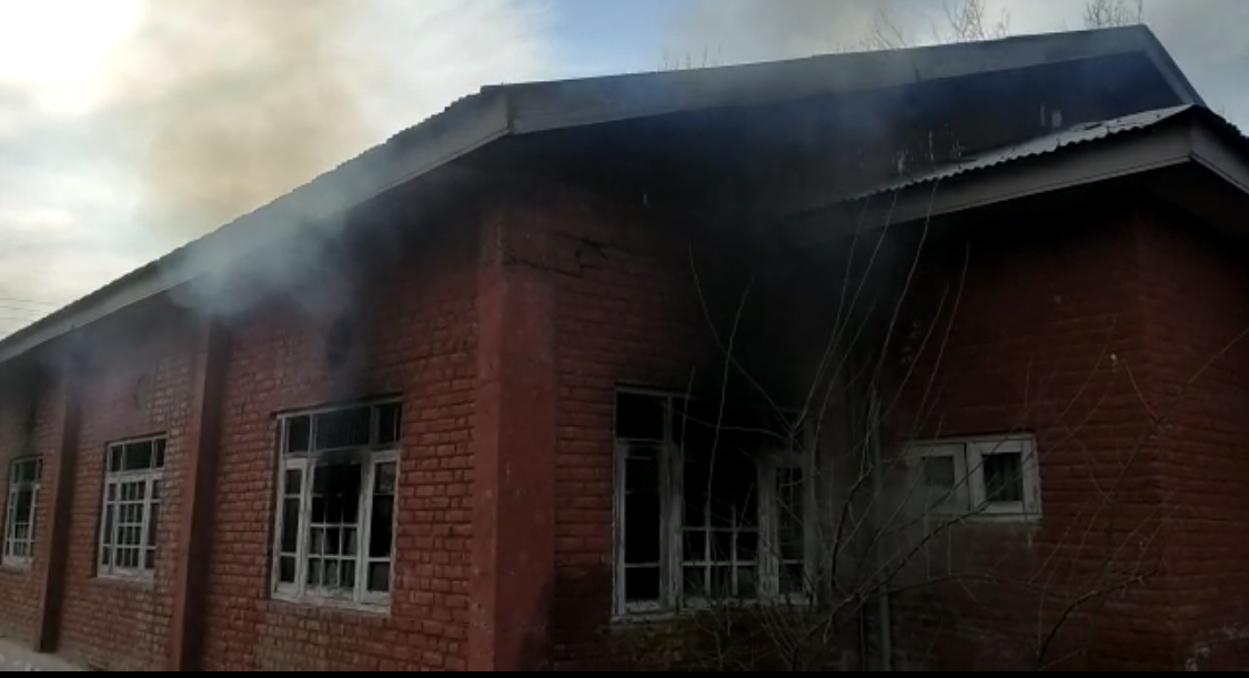 D9CB1E35-1794-4F4B-9B2F-8099F4975A13