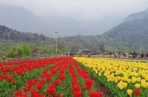 IMG-20230309-WA0102