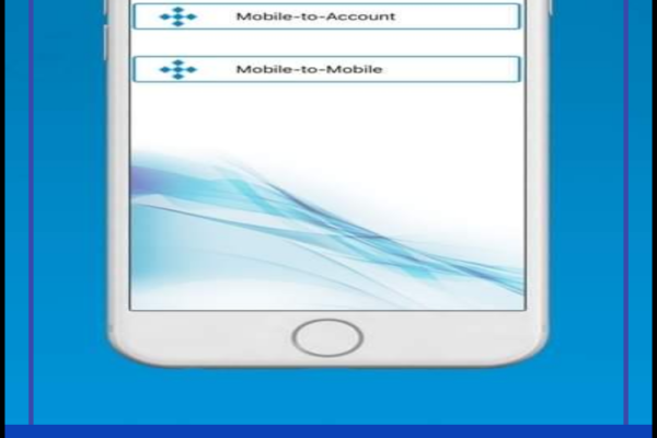 J&K Bank digital and alternate channels record almost 6 million transactions worth Rs 2510 Cr in last 3 days*