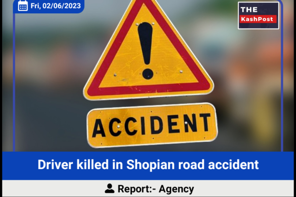 Driver killed in Shopian road accident