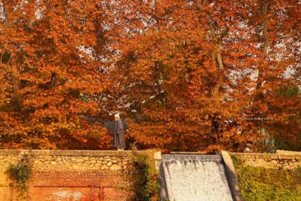 Autumn goals: Places you should not miss visiting when it’s autumn in Kashmir