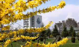 vice-chancellor2