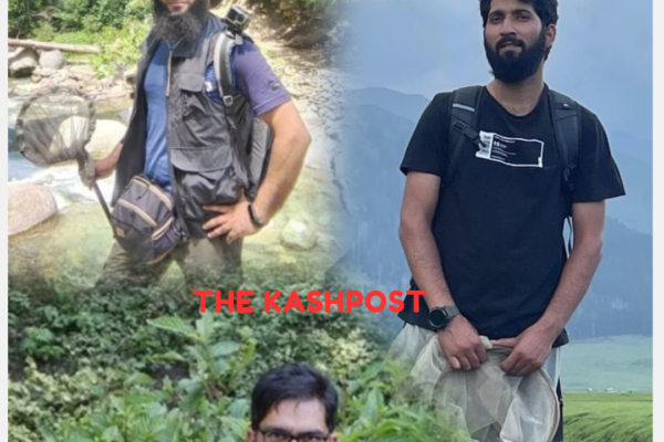 Three Kashmiri scientists discover new species of Hoverfly