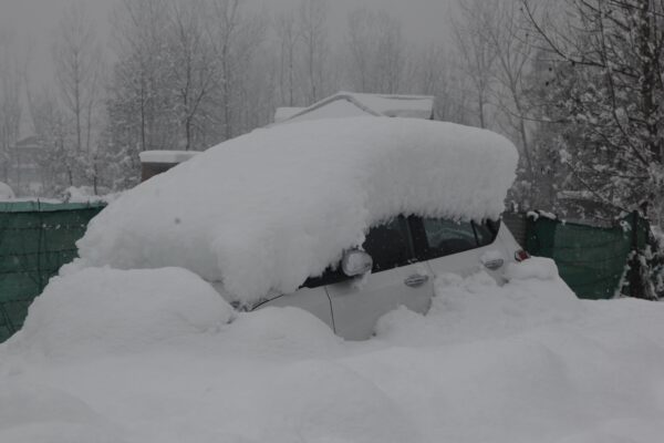 Heavy snowfall likely on higher reaches of J&K from Jan 4-6: MeT