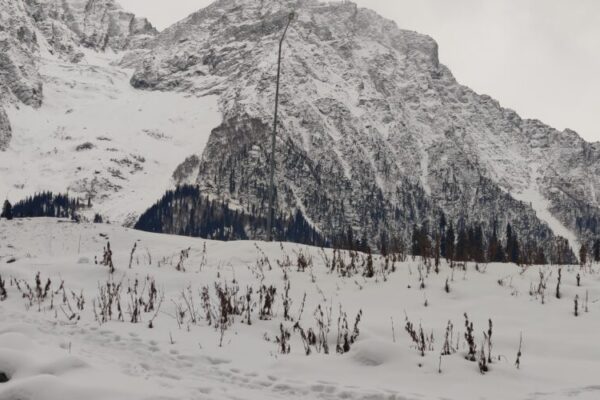 The higher reaches of Kashmir as well as some plains received fresh snowfall.