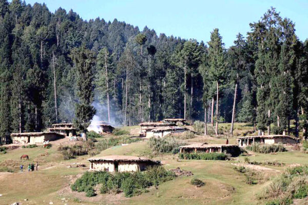 Anantnag forest division to plant over 2 lakh trees this year