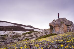 IMG-20250429-WA0058