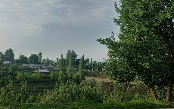 Hakak brothers from South Kashmir donate 32 Kanal land worth crores to Jamiat Ahlihadith J&K