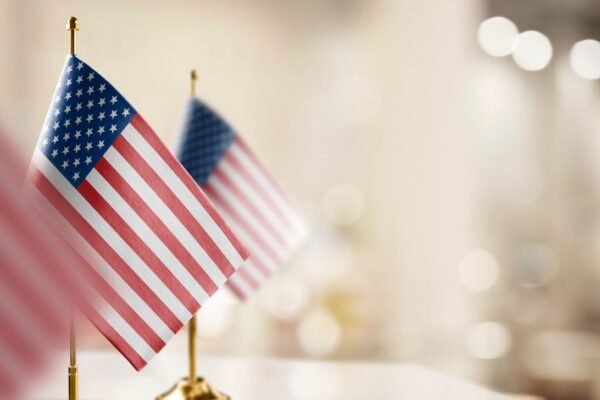 Comprehending US strategic and foreign policy goals