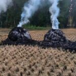 ‘Dreams destroyed overnight’: Annual paddy harvest torched by unknown persons in Bandipora’s Shilvat