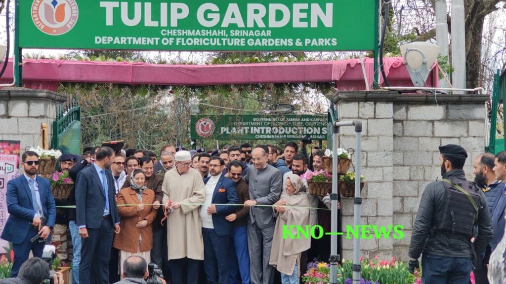 53951893-9135-48bf-b38d-4a6475f2f8d3