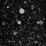 No risk of ‘black snow’ or toxic rain in Kashmir, says weatherman Arif